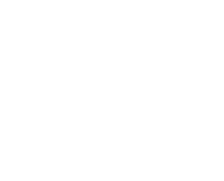 Bielecki Consulting - logo